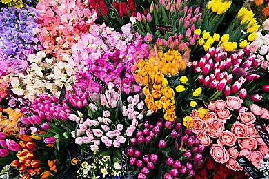 国产卡牌新作《特修斯协议》即将登陆Steam抢先体验